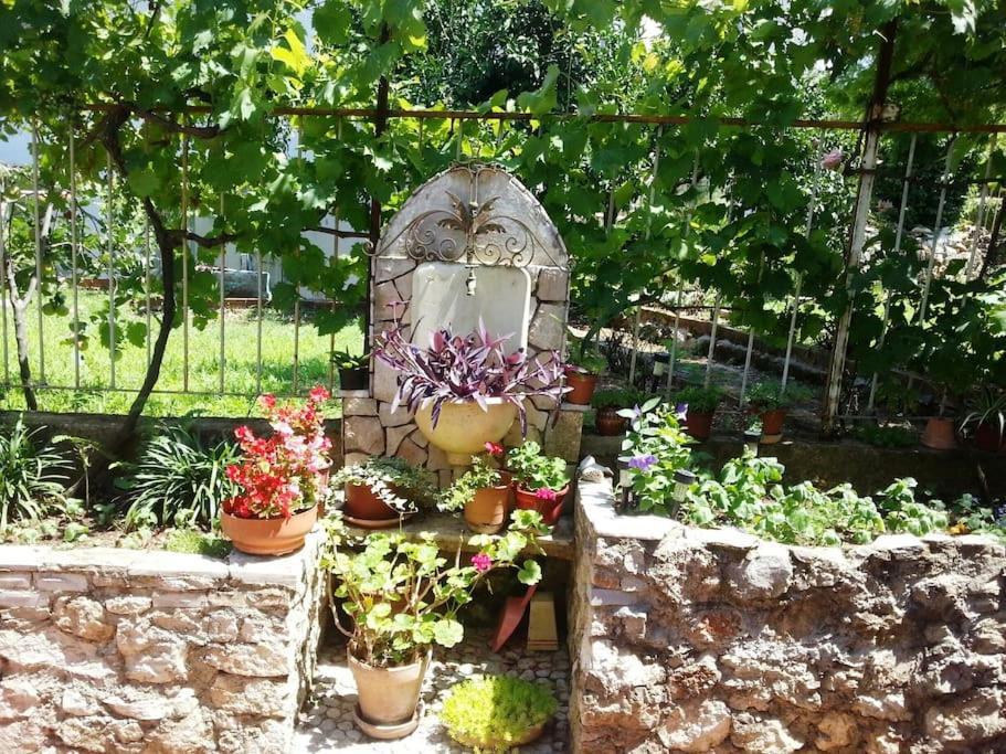 Dubrovnik Quiet Center Apartment Misur Eksteriør bilde